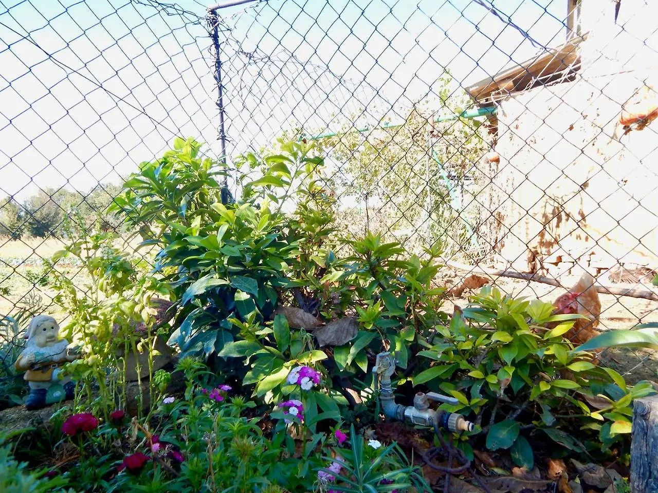 PUY Lovley Rural Apartment With Garden בית הארחה